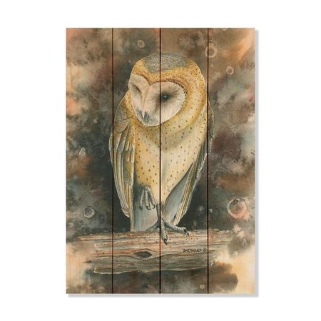 WILE E. WOOD 14 x 20 in. Bartholets Barn Owl Wood Art DBBO-1420